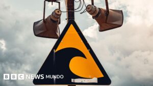 La revolucionaria tecnología con la que científicos detectaron la formación de un tsunami en tiempo real y que puede salvar miles de vidas