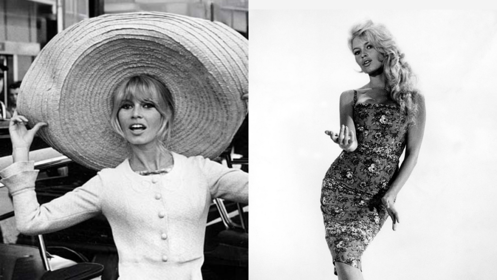 La última voluntad de Brigitte Bardot, ícono del cine y activista animal, antes de morir que no podrá cumplirse