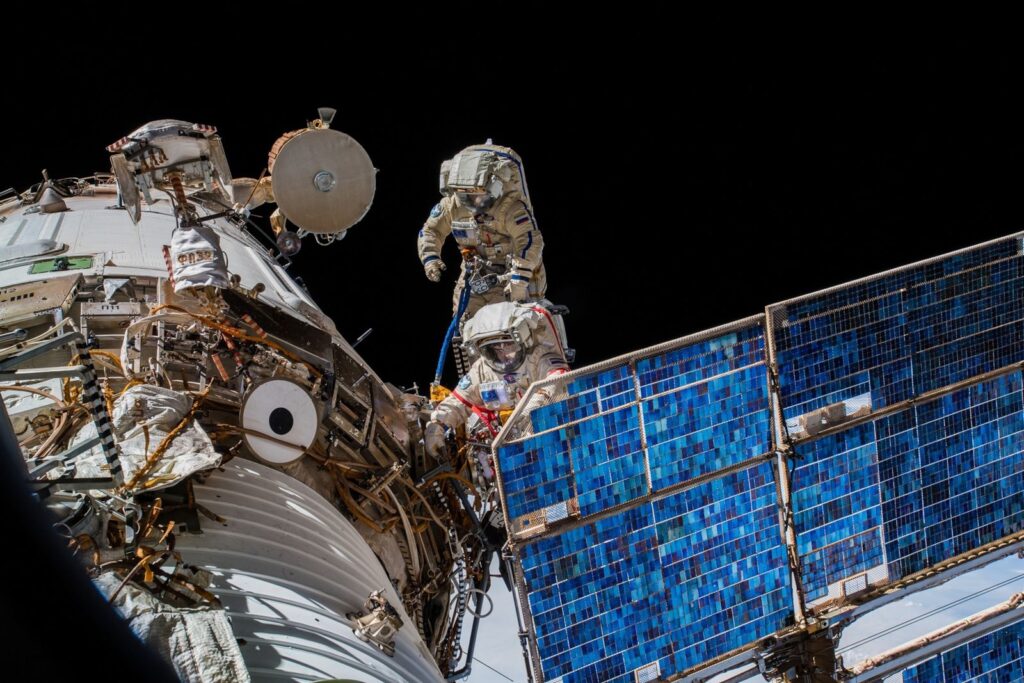 Lo que podemos aprender al observar a 100 000 animales desde el espacio con un detalle increíble | National Geographic