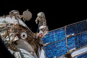 Lo que podemos aprender al observar a 100 000 animales desde el espacio con un detalle increíble | National Geographic