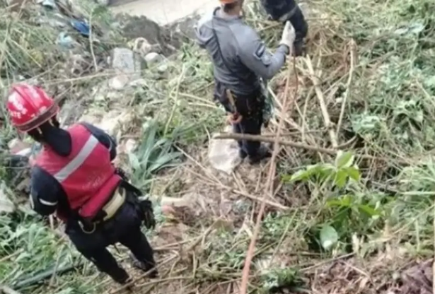 Localizan cuerpo de mujer en una zona boscosa