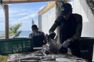 Los pescadores colombianos temen por su vida ante los bombardeos estadounidenses