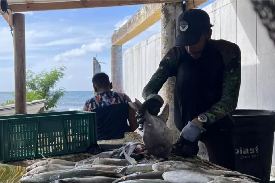 Los pescadores colombianos temen por su vida ante los bombardeos estadounidenses