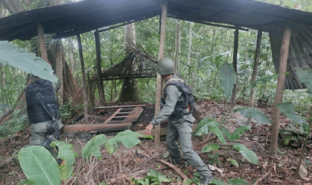 Más de 30 delincuentes abatidos en Guárico