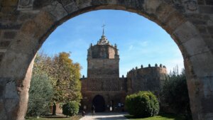 Más de 300 vides de garnacha regresan a casa 200 años después