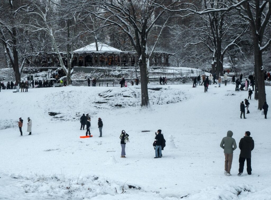 Miles de vuelos cancelados por tormentas invernales en EE.UU.