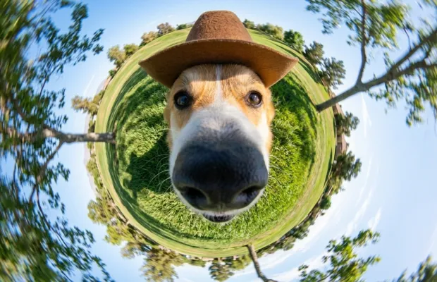 Nano Banana Pro promete romper los límites de la creación visual