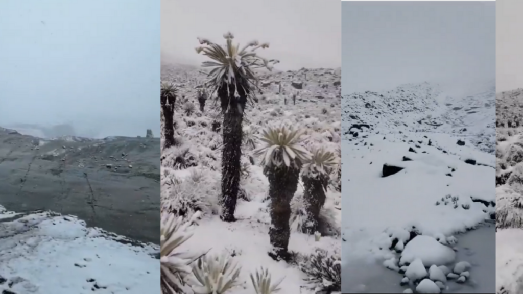 Nevado de El Cocuy se cubre de nieve tras más de 12 horas de precipitación y deja paisajes inéditos en varios puntos de la alta montaña