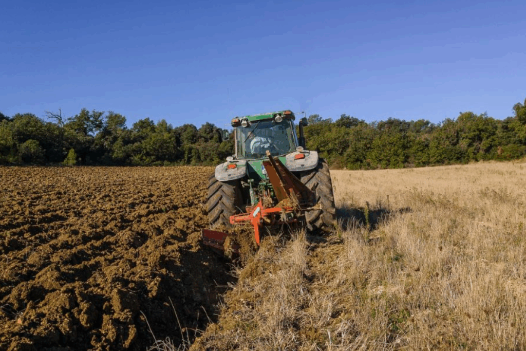 Producción agrícola