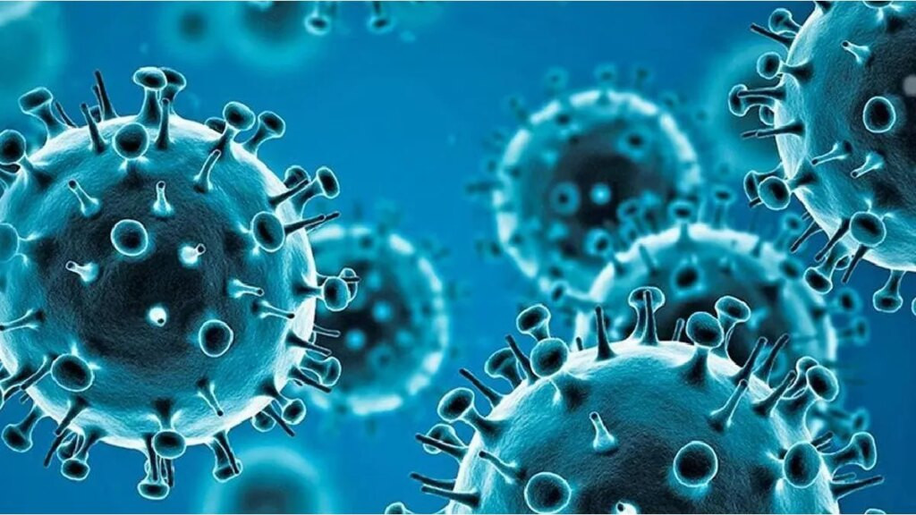 Paraguay declaró la alerta epidemiológica por la gripe H3N2