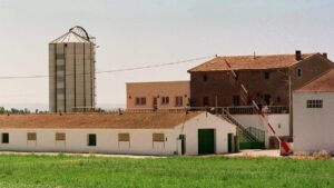 Peste porcina | La Comisión enviará veterinarios a Catalunya a supervisar las medidas | elperiodico.com