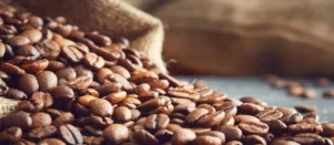 Precio del café en Colombia registra un ligero aumento y genera expectativas positivas