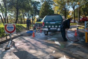 Sánchez manda un mensaje de tranquilidad ante los casos de peste porcina y buscará exportar a terceros | europapress.es