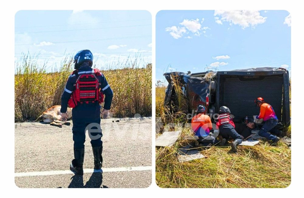 Silverado colisionó contra una vaca en la carretera El Tigre - Pariaguán dejando una niña y un adulto lesionados
