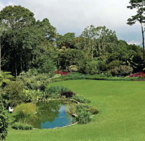 Topotepuy: Un jardín con propósito para conectar con la naturaleza y educar