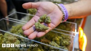 Trump firma una orden ejecutiva para reclasificar la marihuana como una droga menos peligrosa y ampliar el acceso a la misma