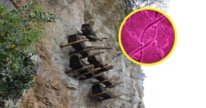 Un hallazgo genético sorprendente revela que los descendientes de una cultura que colgaba ataúdes en acantilados aún viven en China