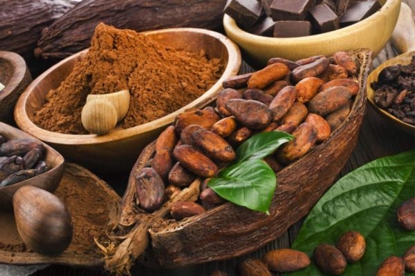Venezuela exportó 200 toneladas de cacao hacia Rusia: Este es el quinto cargamento que envía