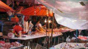 abandono institucional es principal motor de la economía informal en México