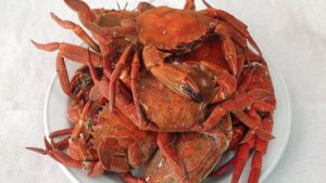 cómo cocer nécoras y centollos para conservar todo su sabor