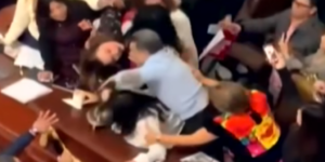 diputadas se agreden a golpes y se tiran del pelo durante una discusión sobre la reforma de transparencia