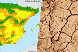 el 40% del suelo ya está ‘enfermo’