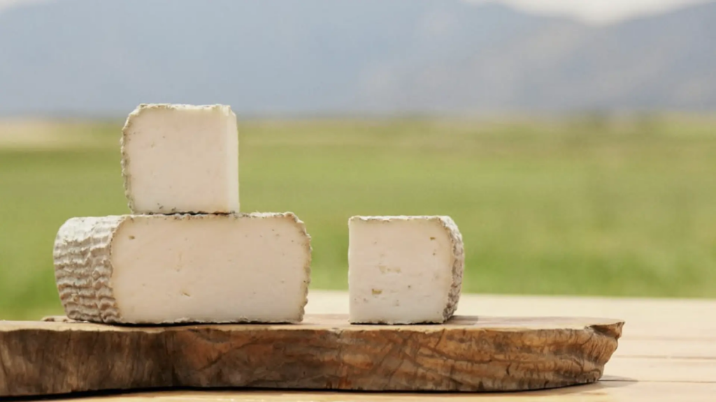 el mejor queso de cabra del mundo está en Murcia