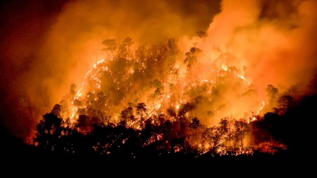 15 muertos y 50.000 evacuados por el avance del fuego en el sur del país
