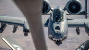 AL QAEDA | EEUU informa de la muerte de un dirigente de Al Qaeda en un ataque en Siria | elperiodico.com