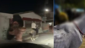 Autoridades se pronuncian tras videos de caballos maltratados y utilizados para carreras clandestinas en Cartagena: ‘Van a ser denunciados’