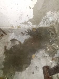 Bomberos inspeccionarán filtraciones en el urbanismo Luisa Cáceres