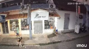 Cámara de seguridad capta a mujer hurtando planta en Machiques