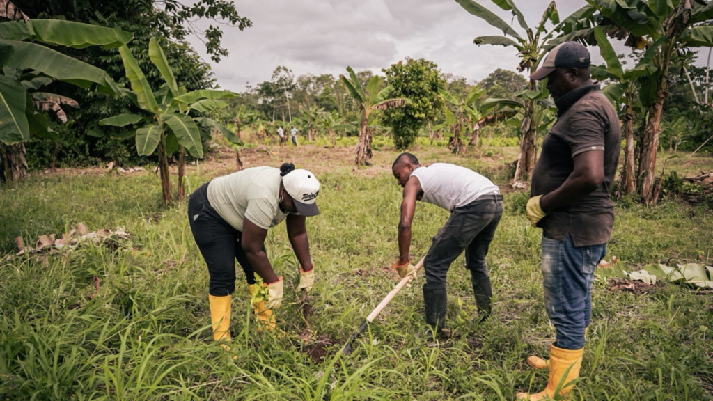 Comunidades étnicas de Tumaco cambian hectáreas de coca por surcos de alimentos y cultivos lícitos