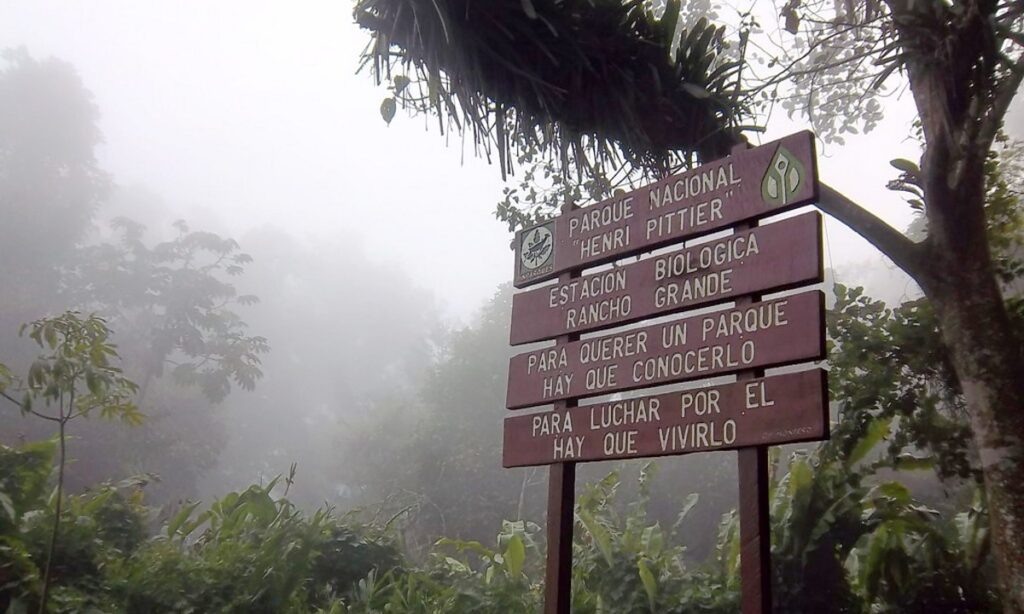 Controlan incendio en el Parque Nacional Henri Pittier