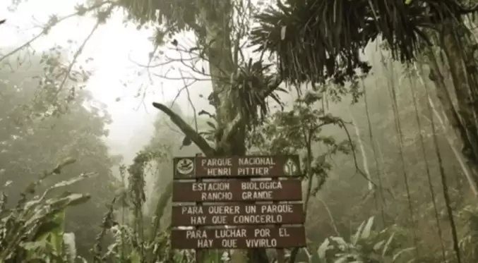 Controlan incendio forestal en el parque nacional 'Henri Pittier'