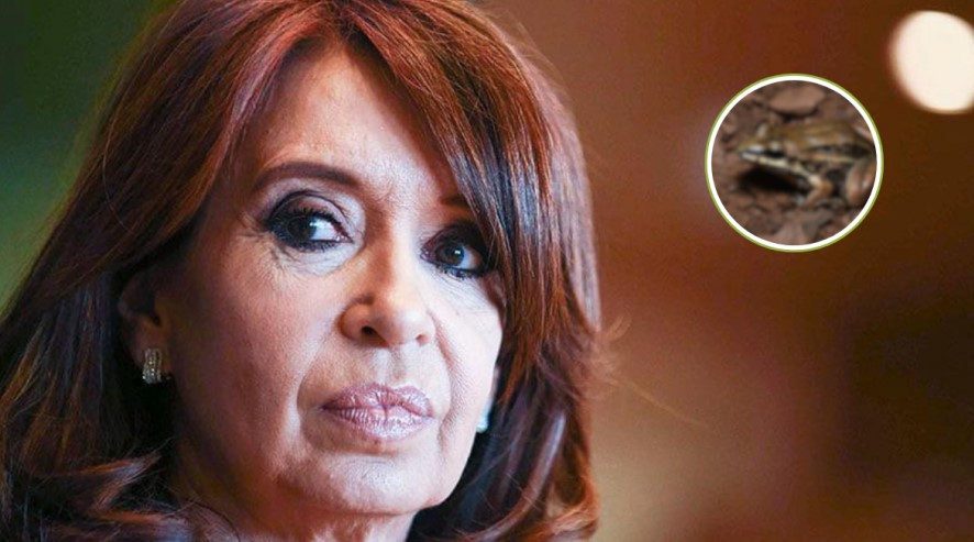 Cristina Fernández denuncia "violación del derecho internacional" de EE.UU. en Venezuela - AlbertoNews