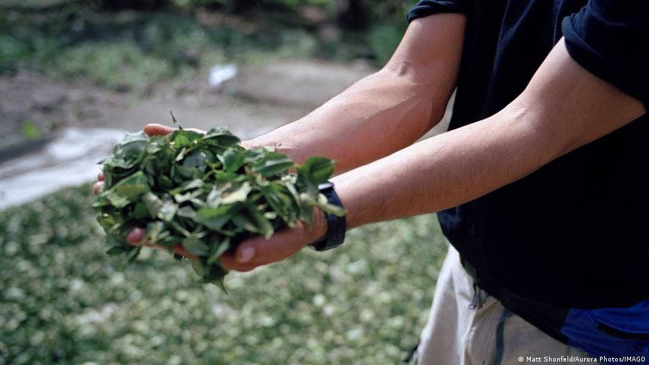 DEA sobrevuela Bolivia para evaluar cooperación antidroga – DW – 10/01/2026