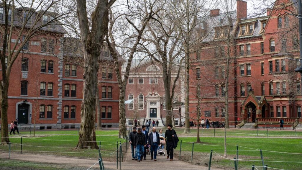 Denuncian que en Harvard muchos faltan a clases y aún así se gradúan