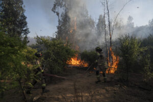 Detienen a 14 personas por causar megaincendios en Chile – AlbertoNews