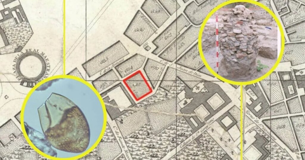 El descubrimiento de parásitos en Granada muestra cómo eran las epidemias antes del alcantarillado