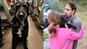 El emotivo de reencuentro de Boro con su familia que conmovió a toda España tras el accidente de trenes en Adamuz
