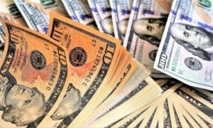 El precio del dólar del 16 de enero pasa los 341 bolívares