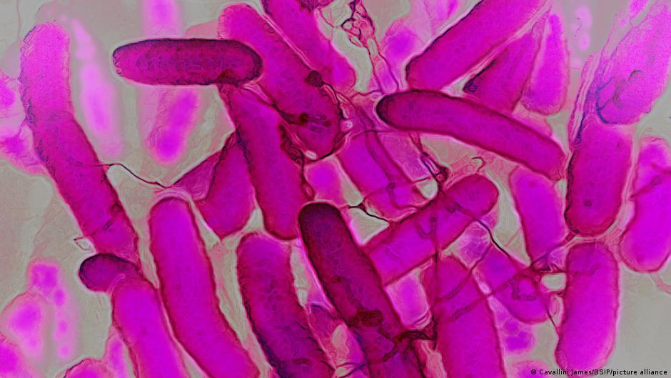 El raro síndrome intestinal que emborracha sin beber alcohol