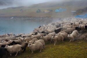 El sendero secreto de Groenlandia para seguir los pasos de los vikingos entre fiordos y granjas milenarias | National Geographic