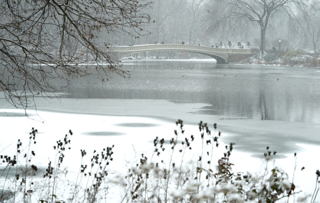 El sur de EEUU se prepara para una tormenta de nieve que alerta a las autoridades - AlbertoNews