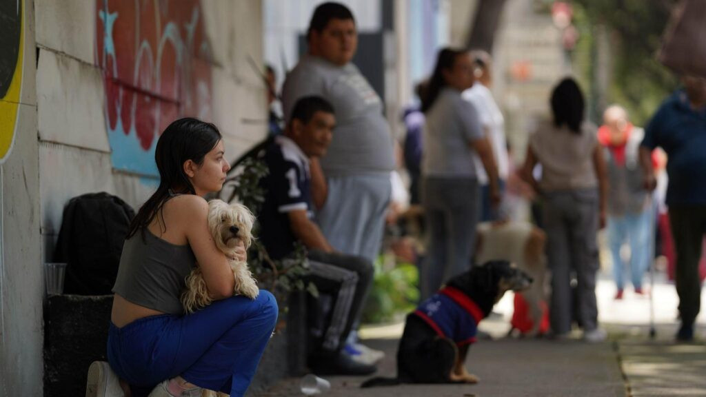 Este viernes un fuerte sismo sacudió la Ciudad de México – Diario El Luchador