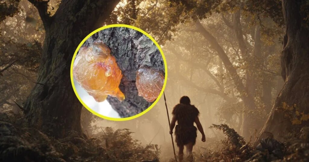 Estudiosos identifican la variedad de “pegamentos” paleolíticos que usaron los neandertales y los Homo sapiens de la cueva de Morín (Cantabria)