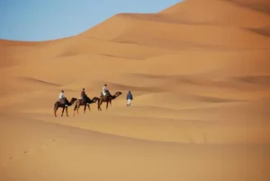 Excursiones al desierto de Marruecos desde Marrakech