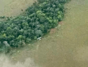 Fanb inutilizó la aeronave 40 al cierre del año 2025
