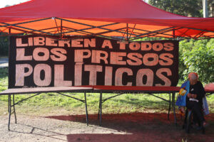 Foro Penal reportó la excarcelación de al menos 266 presos políticos en Venezuela